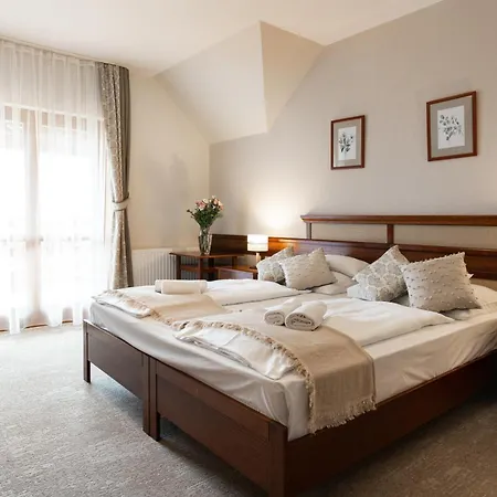 Kardosfa Hotel Zselickisfalud