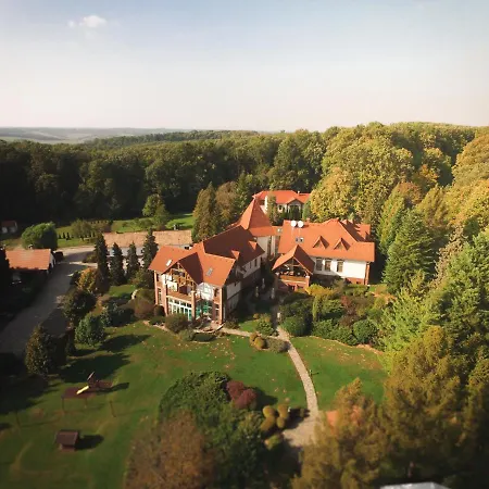 Kardosfa Zselickisfalud